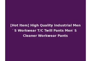 [Hot Item] High Quality Industrial Men′ S Workwear T/C Twill Pants Men′ S Cleaner Workwear Pants