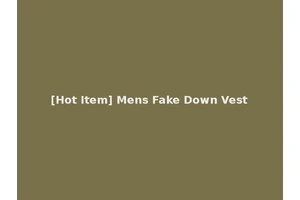[Hot Item] Mens Fake Down Vest