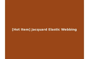 [Hot Item] Jacquard Elastic Webbing