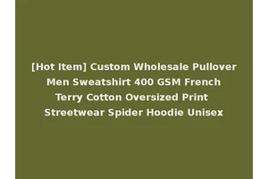 [Hot Item] Custom Wholesale Pullover Men Sweatshirt 400 GSM French Terry Cotton Oversized Print Streetwear Spider Hoodie Unisex