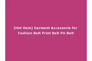 [Hot Item] Garment Accessorie for Fashion Belt Print Belt PU Belt