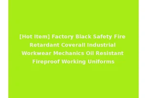 [Hot Item] Factory Black Safety Fire Retardant Coverall Industrial Workwear Mechanics Oil Resistant Fireproof Working Uniforms