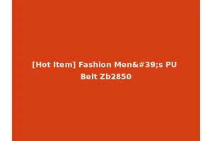 [Hot Item] Fashion Men's PU Belt Zb2850