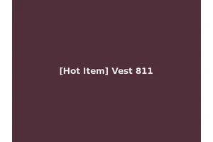 [Hot Item] Vest 811