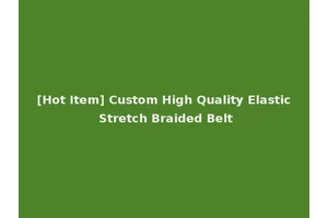 [Hot Item] Custom High Quality Elastic Stretch Braided Belt