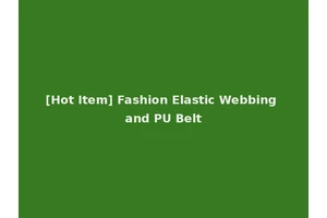 [Hot Item] Fashion Elastic Webbing and PU Belt