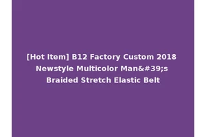 [Hot Item] B12 Factory Custom 2018 Newstyle Multicolor Man's Braided Stretch Elastic Belt