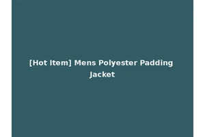 [Hot Item] Mens Polyester Padding Jacket