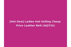 [Hot Item] Ladies Hot Selling Cheap Price Leather Belt (HJ2733)