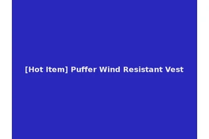 [Hot Item] Puffer Wind Resistant Vest