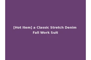 [Hot Item] a Classic Stretch Denim Fall Work Suit
