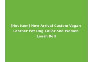 [Hot Item] New Arrival Custom Vegan Leather Pet Dog Collar and Women Leash Belt