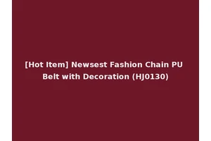 [Hot Item] Newsest Fashion Chain PU Belt with Decoration (HJ0130)