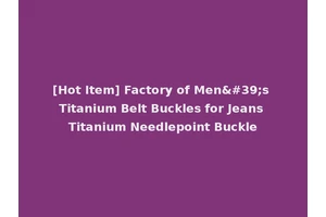[Hot Item] Factory of Men's Titanium Belt Buckles for Jeans Titanium Needlepoint Buckle