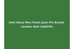 [Hot Item] Men Pants Jean Pin Buckle Leather Belt (HJ0245)