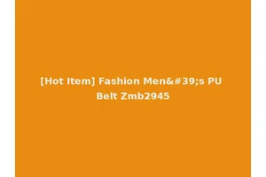 [Hot Item] Fashion Men's PU Belt Zmb2945
