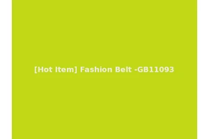 [Hot Item] Fashion Belt -GB11093