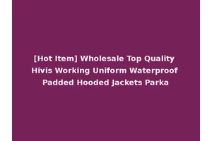 [Hot Item] Wholesale Top Quality Hivis Working Uniform Waterproof Padded Hooded Jackets Parka