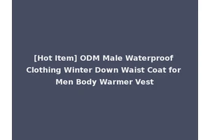 [Hot Item] ODM Male Waterproof Clothing Winter Down Waist Coat for Men Body Warmer Vest