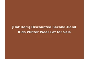 [Hot Item] Discounted Second-Hand Kids Winter Wear Lot for Sale