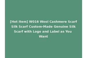 [Hot Item] W016 Wool Cashmere Scarf Silk Scarf Custom-Made Genuine Silk Scarf with Logo and Label as You Want