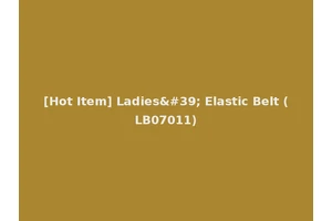 [Hot Item] Ladies' Elastic Belt (LB07011)