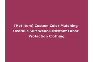 [Hot Item] Custom Color Matching Overalls Suit Wear-Resistant Labor Protection Clothing