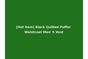 [Hot Item] Black Quilted Puffer Waistcoat Men′ S Vest