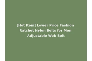 [Hot Item] Lower Price Fashion Ratchet Nylon Belts for Men Adjustable Web Belt
