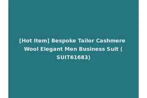 [Hot Item] Bespoke Tailor Cashmere Wool Elegant Men Business Suit (SUIT61683)
