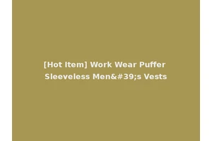 [Hot Item] Work Wear Puffer Sleeveless Men's Vests
