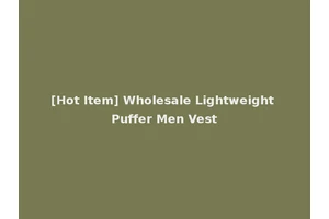 [Hot Item] Wholesale Lightweight Puffer Men Vest
