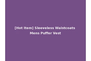 [Hot Item] Sleeveless Waistcoats Mens Puffer Vest