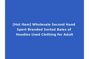 [Hot Item] Wholesale Second Hand Sport Branded Sorted Bales of Hoodies Used Clothing for Adult