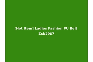 [Hot Item] Ladies Fashion PU Belt Zsb2987