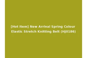 [Hot Item] New Arrival Spring Colour Elastic Stretch Knitting Belt (HJ0186)