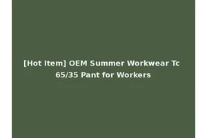 [Hot Item] OEM Summer Workwear Tc 65/35 Pant for Workers