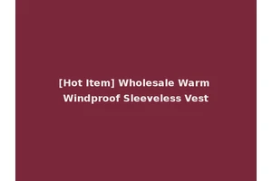 [Hot Item] Wholesale Warm Windproof Sleeveless Vest