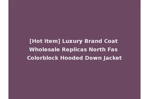 [Hot Item] Luxury Brand Coat Wholesale Replicas North Fas Colorblock Hooded Down Jacket