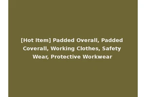 [Hot Item] Padded Overall, Padded Coverall, Working Clothes, Safety Wear, Protective Workwear