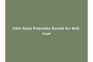 [Hot Item] Polyester Buckle for Belt Coat