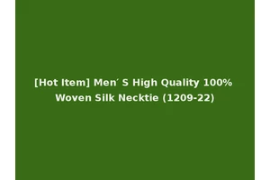 [Hot Item] Men′ S High Quality 100% Woven Silk Necktie (1209-22)