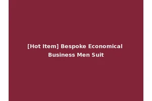 [Hot Item] Bespoke Economical Business Men Suit