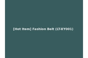 [Hot Item] Fashion Belt (LT-XY001)