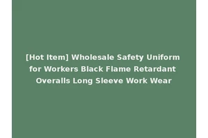 [Hot Item] Wholesale Safety Uniform for Workers Black Flame Retardant Overalls Long Sleeve Work Wear