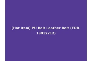 [Hot Item] PU Belt Leather Belt (EDB-13012212)