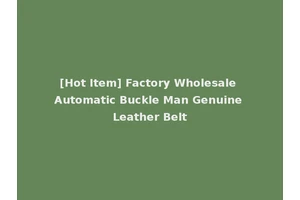 [Hot Item] Factory Wholesale Automatic Buckle Man Genuine Leather Belt