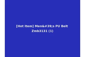 [Hot Item] Men's PU Belt Zmb3131 (1)