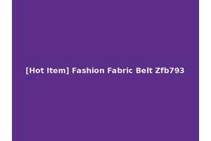 [Hot Item] Fashion Fabric Belt Zfb793