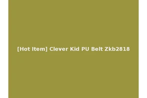 [Hot Item] Clever Kid PU Belt Zkb2818